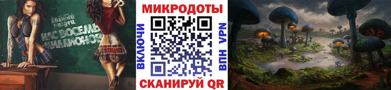 Псилоцибиновые грибы Cubensis Назарово