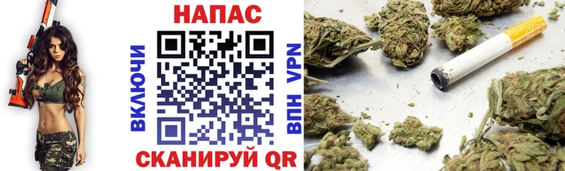 купить наркотик  Назарово  блэк спрут ТОР  Бошки Шишки SATIVA & INDICA 